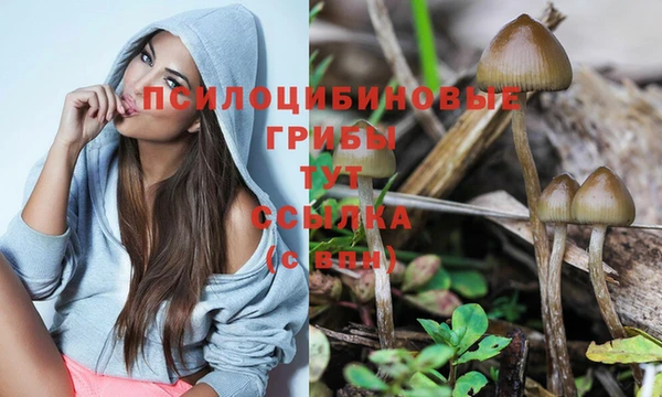 бошки Михайловка