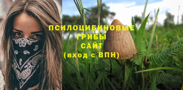 mdpv Михайлов