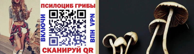 Галлюциногенные грибы MAGIC MUSHROOMS  Нелидово 
